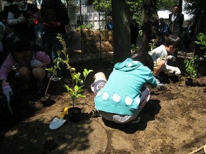 2009/4/28　学校の森植樹祭ー母校に命の森を-全校児童生徒の木を植樹