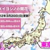22R4.03.20　東京で桜開花　平年より4日早い開花発表