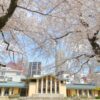 25R7.5.16　「としまの桜フォトコンテスト2025」