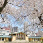 25R7.5.16 「としまの桜フォトコンテスト2025」