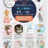 25R7.7.15　「ねこと夏休み」イベント