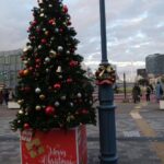 25R7.11.28　目白駅前ひろばクリスマスツリー設置