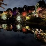 25R7.11.19　目白庭園のライトアップ